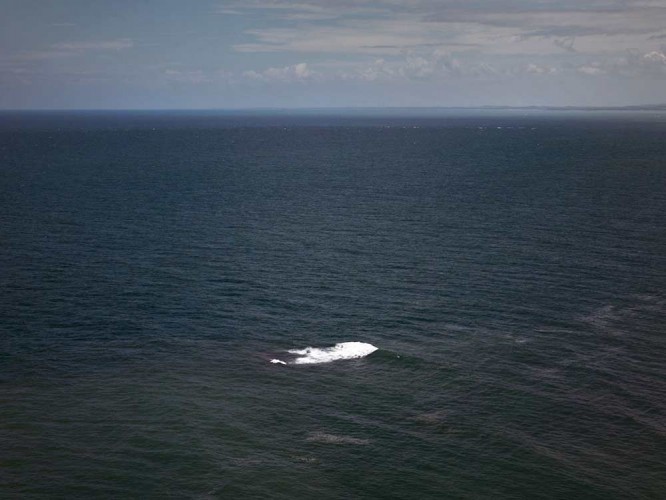 A Brazilian Journey with Marina Abramovic
