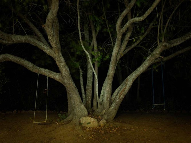 A Brazilian Journey with Marina Abramovic