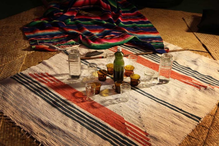 A Brazilian Journey with Marina Abramovic