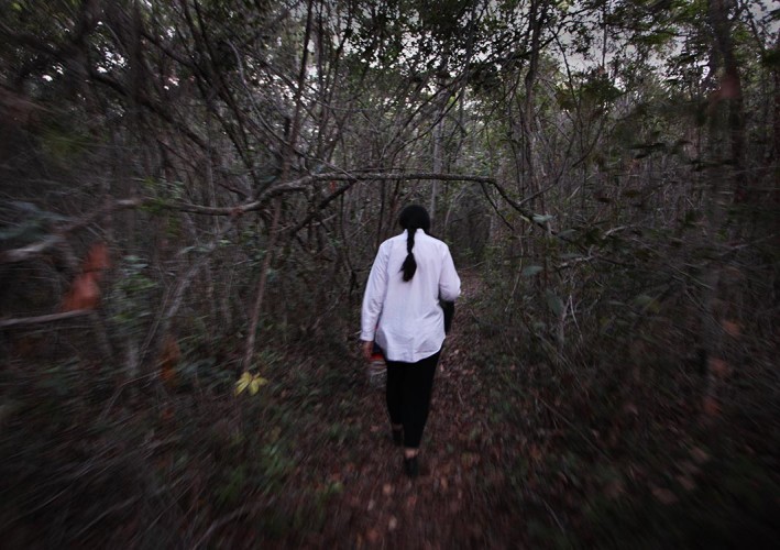A Brazilian Journey with Marina Abramovic